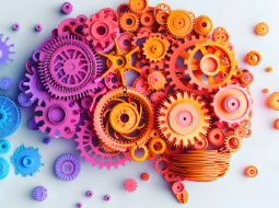 Neuropsicopedagogia Institucional e Clínica